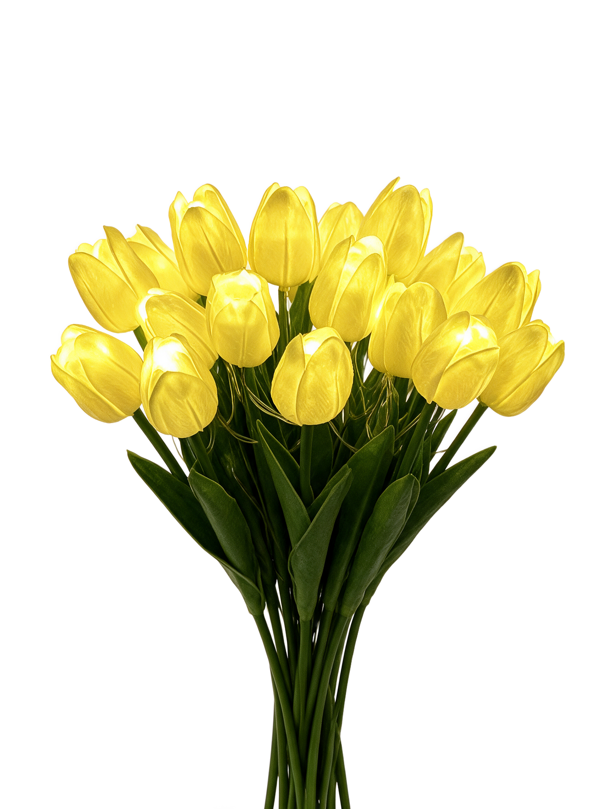 Warm Yellow