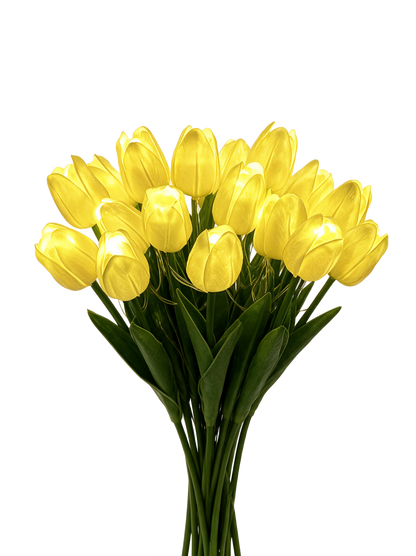 Warm Yellow