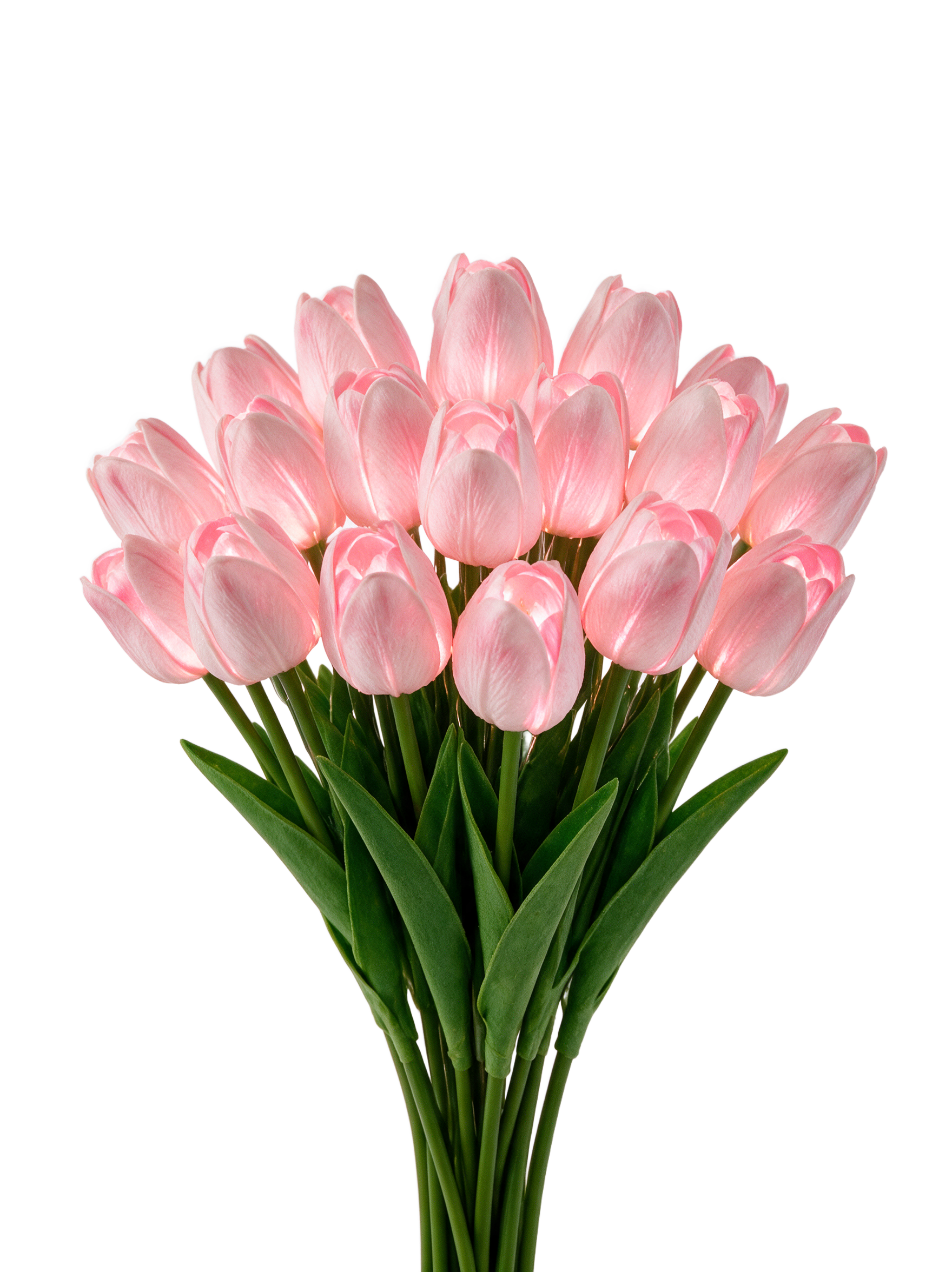 Blush Pink