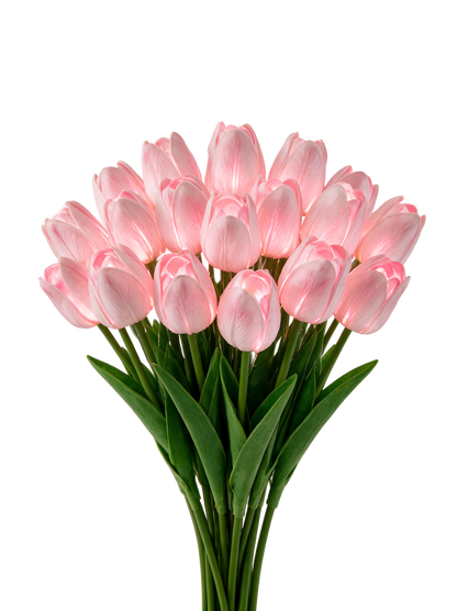 Blush Pink