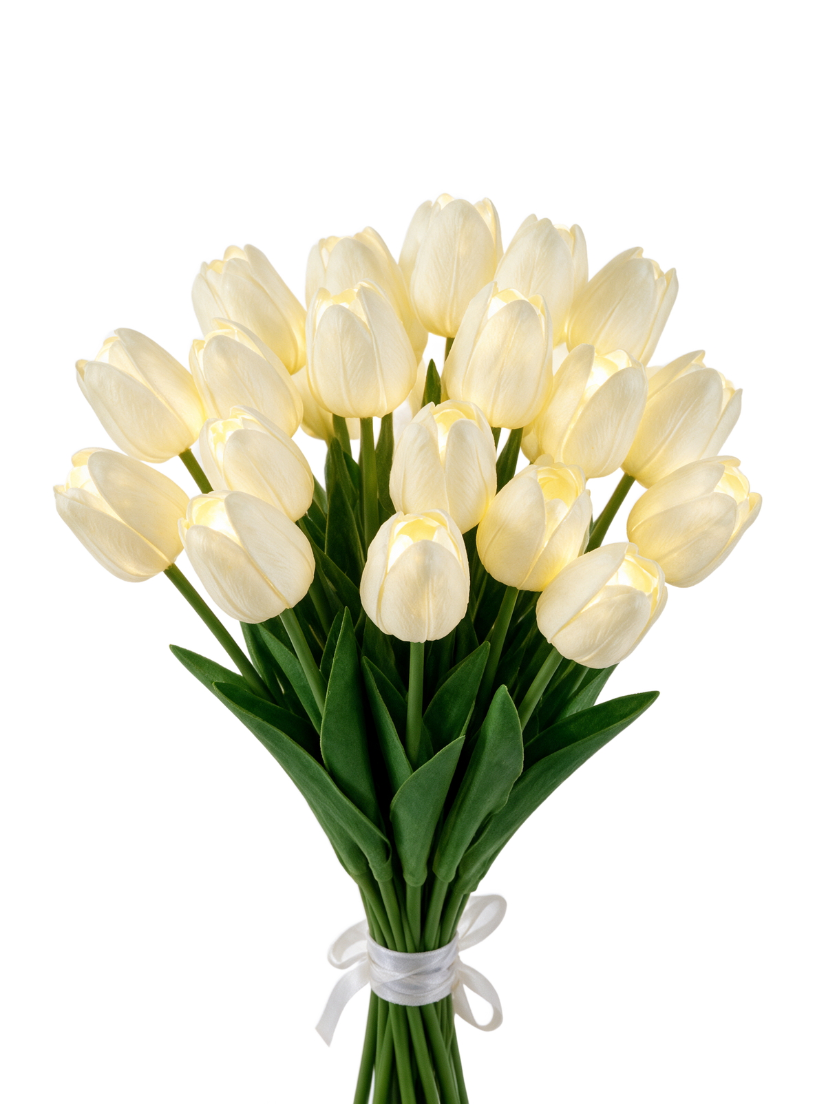 Cream White