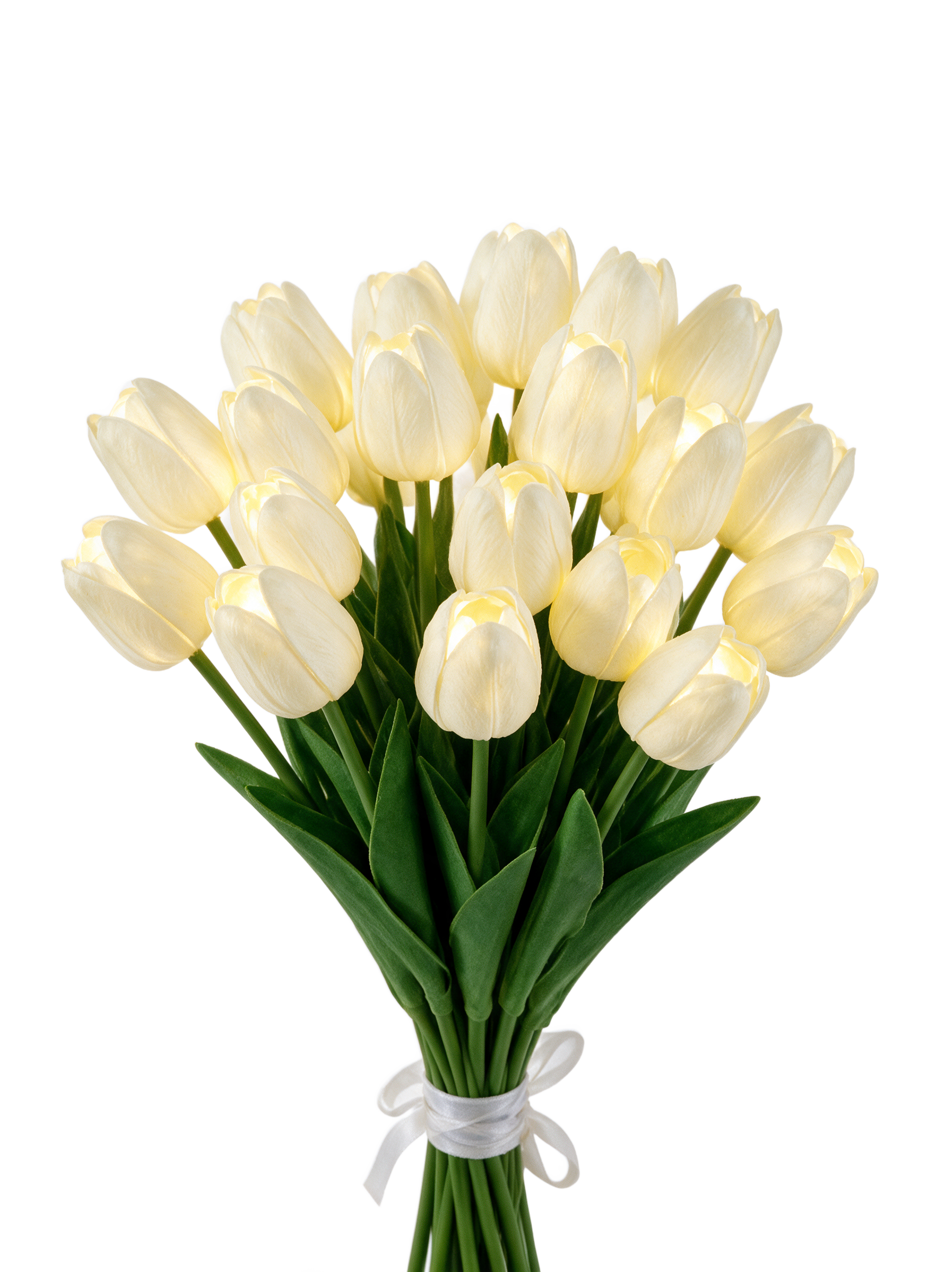 Cream White