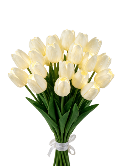Cream White