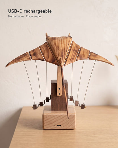 Back of the manta ray showing flame-burnt beech wings and the USB-C charging port on the beech base