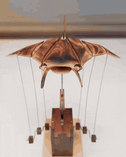 The manta ray beating its wings, shown from the front, at three-quarters, and side on