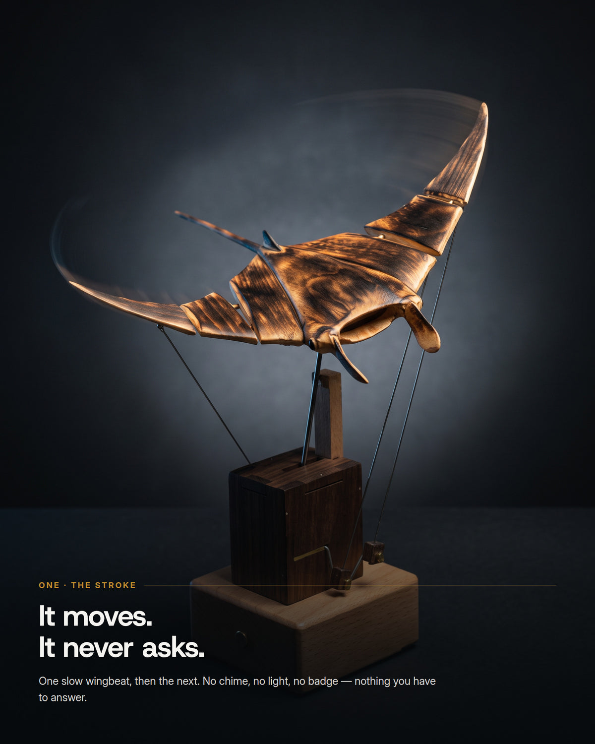The manta ray mid-downstroke, wingtips blurred by the motion