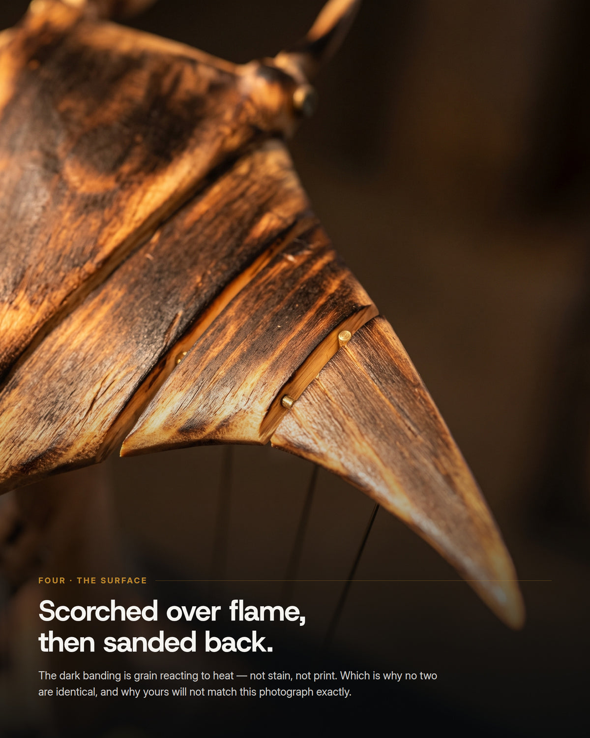 Macro of a wing: charred tiger-stripe grain, segmented panels, brass pins