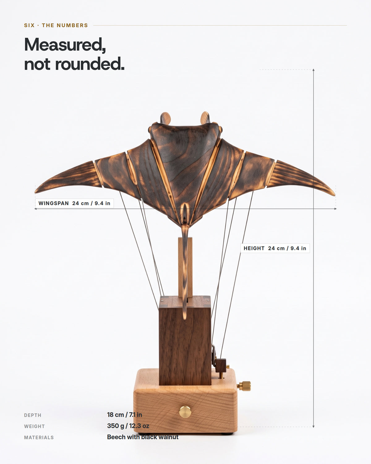 Front elevation with dimensions: 24 cm wingspan, 24 cm tall, 18 cm deep, 350 g