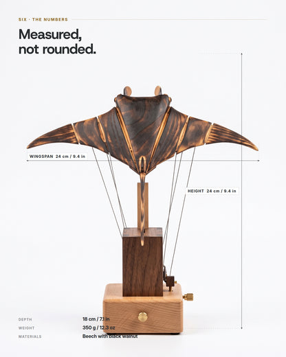 Front elevation with dimensions: 24 cm wingspan, 24 cm tall, 18 cm deep, 350 g