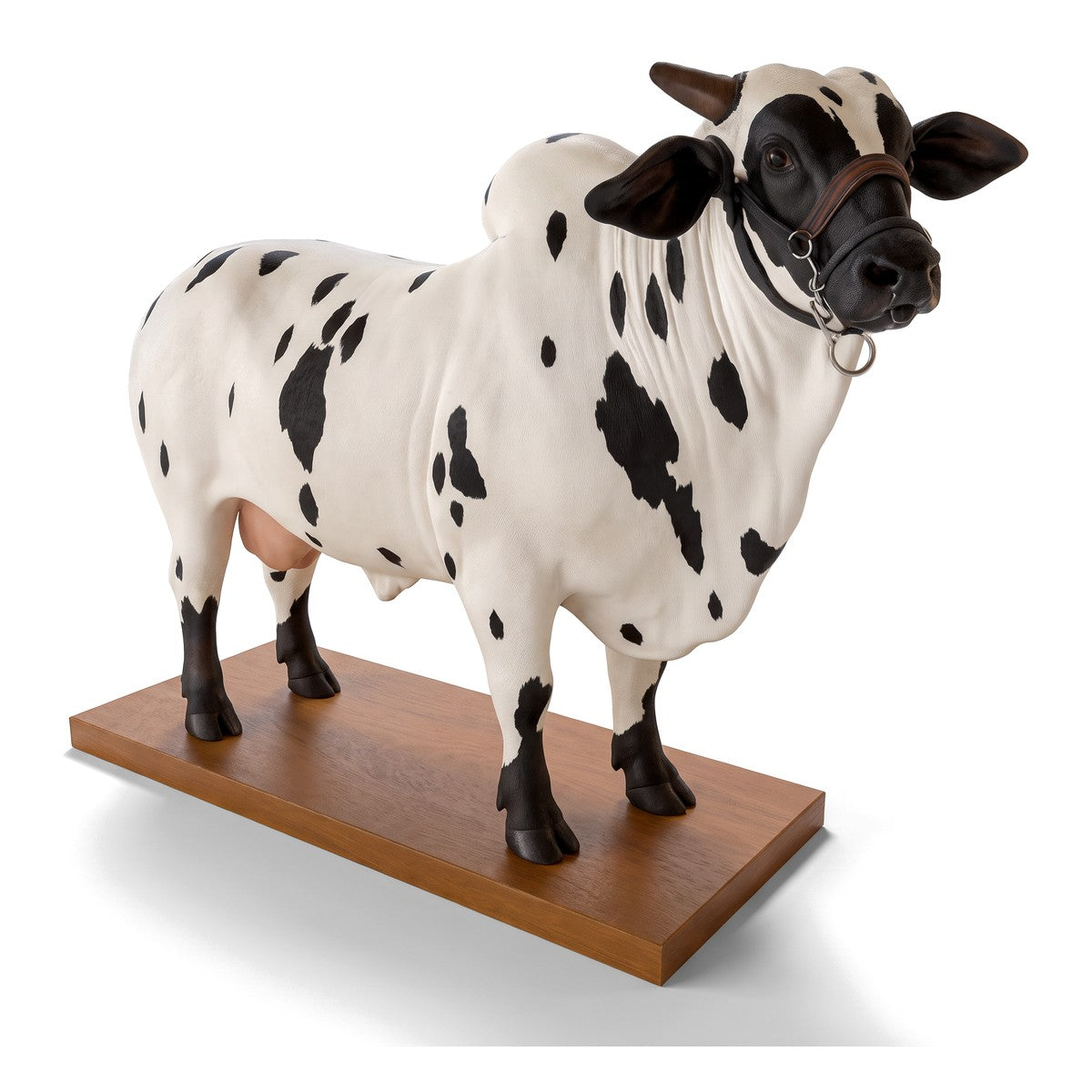 Pour Bull in Black Face