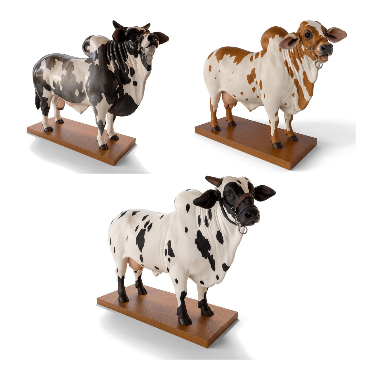 The three coats of the Pour Bull