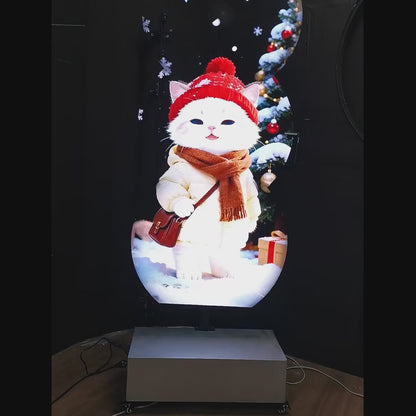 Video: a life-size Christmas cat hologram next to a snowy tree