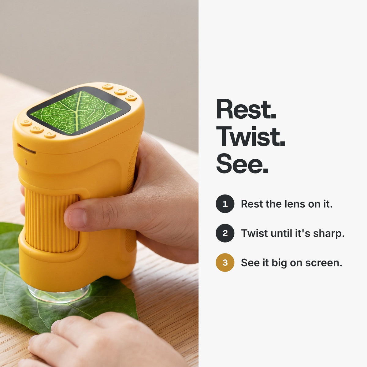 How to focus in three steps: rest the lens, twist until sharp, see it big on screen