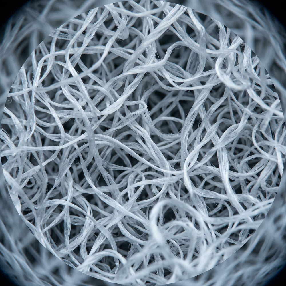 Mystery close-up of tangled white fibers